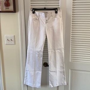 NWT New York $ Company Stretch Suit / Dress Pants